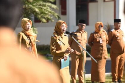 Pemerintahan